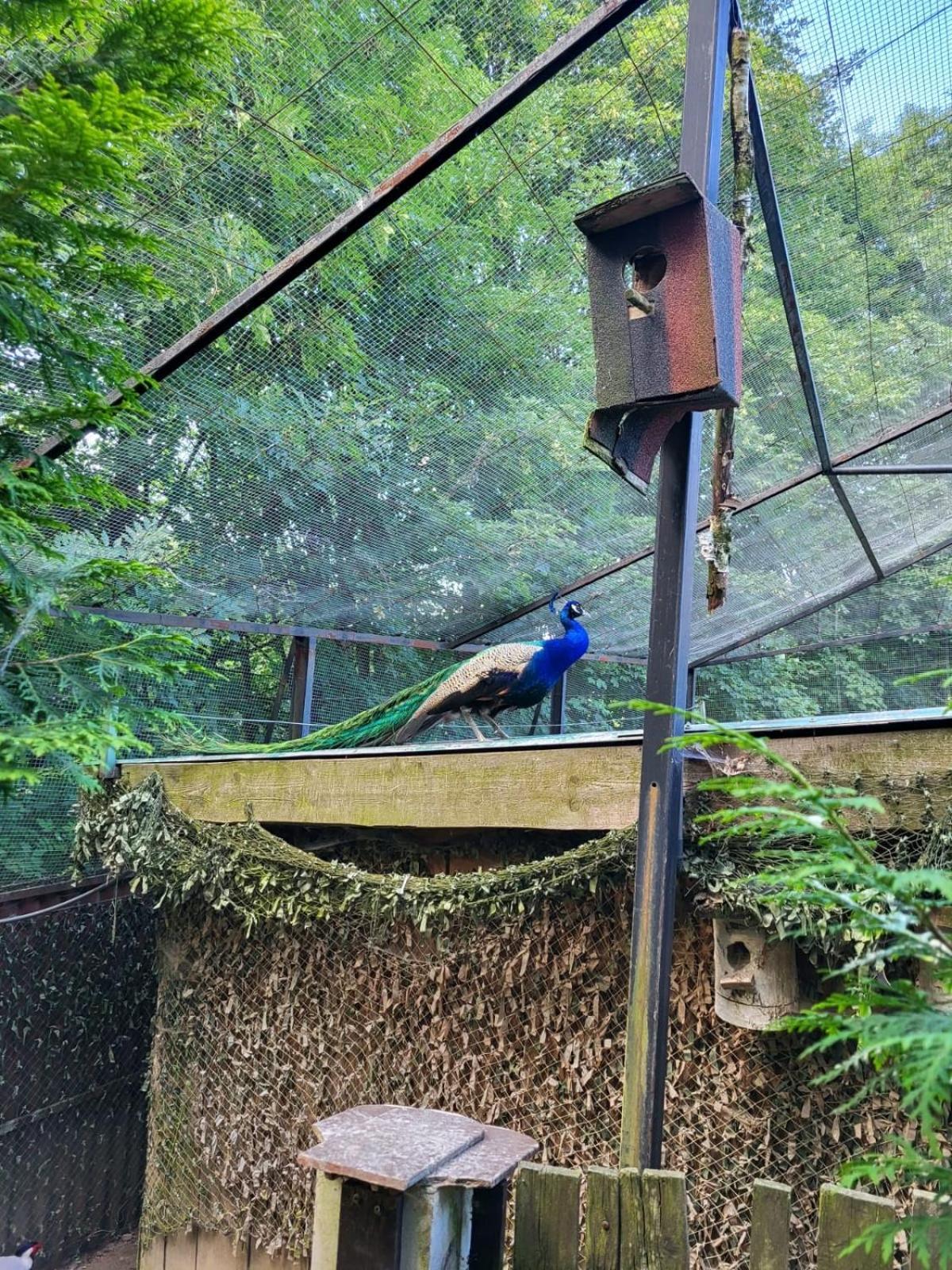 Koperkowe Rancho Beskid Wyspowy Domek Malopolskie Kamionna Kamionna  Exterior foto