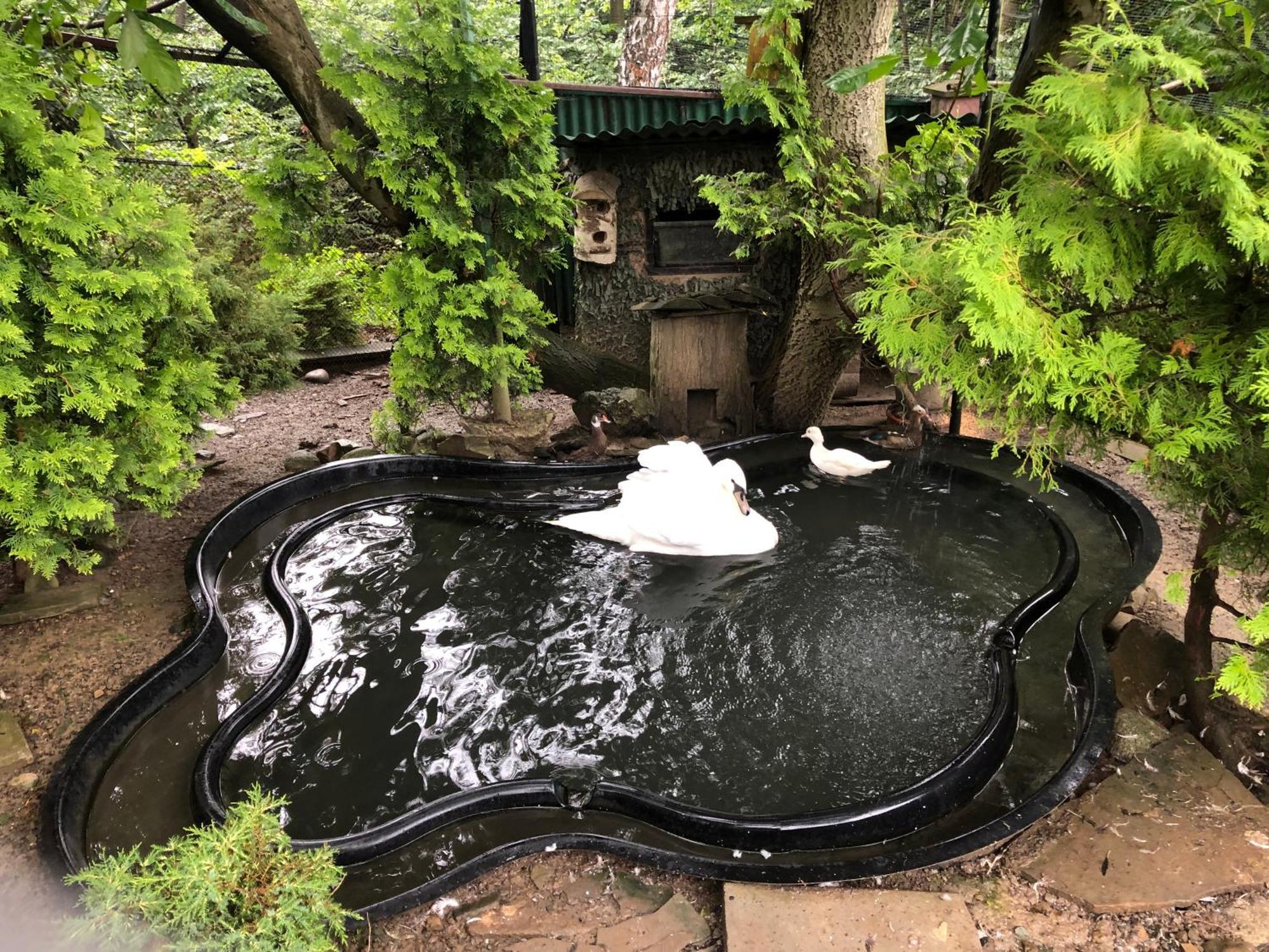 Koperkowe Rancho Beskid Wyspowy Domek Malopolskie Kamionna Kamionna  Exterior foto