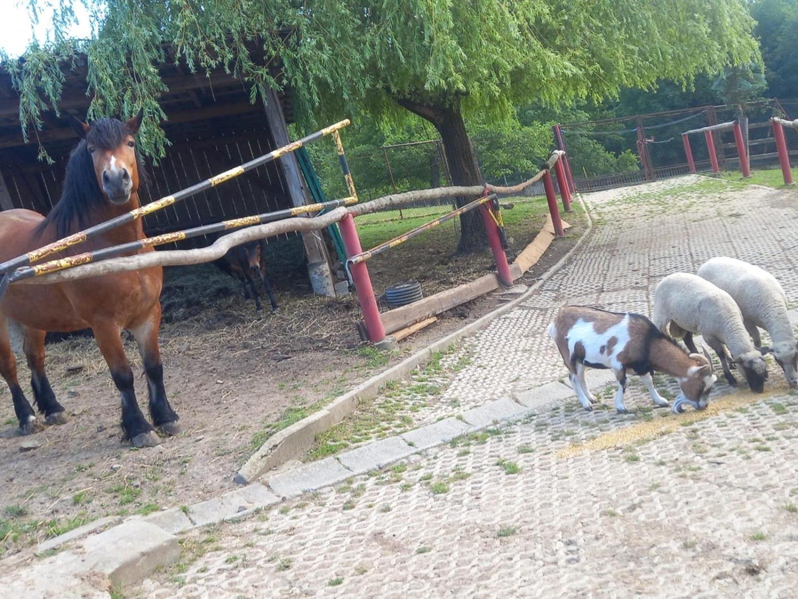 Koperkowe Rancho Beskid Wyspowy Domek Malopolskie Kamionna Kamionna  Exterior foto